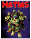 Ninja Turtles Birthday T-Shirt
