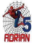 Spider-Man Birthday T-Shirt