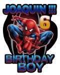 Spider-Man Birthday T-Shirt